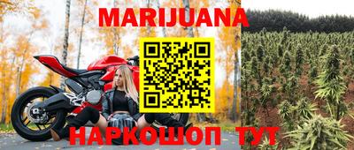 СК Краснодар