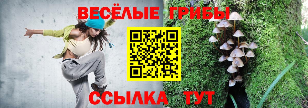 Гагарин  Псилоцибиновые грибы Magic Shrooms  Вход с VPN 