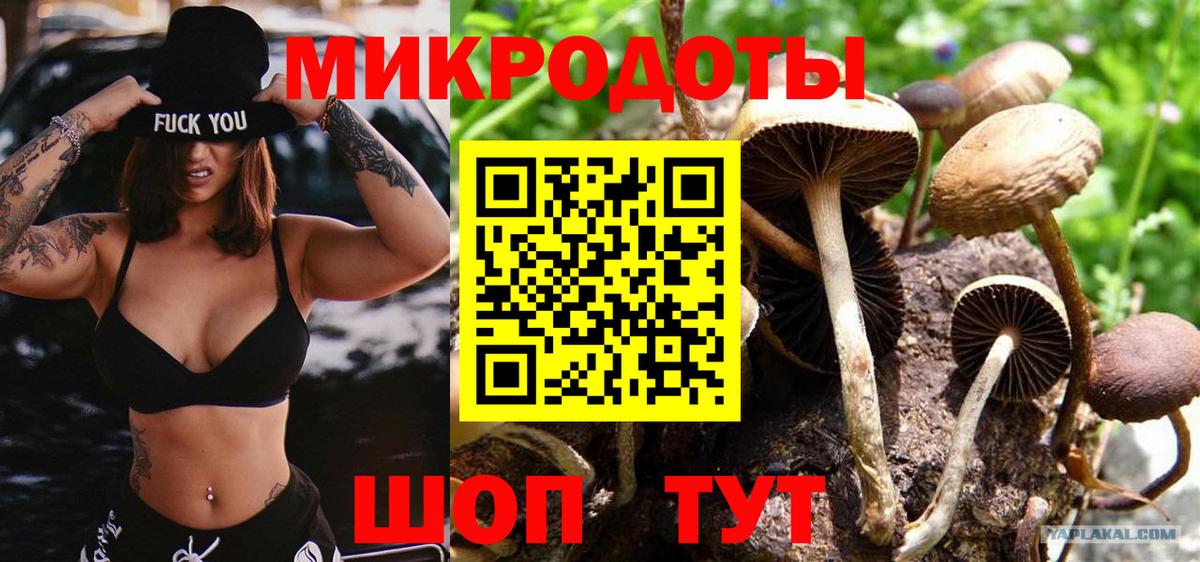Галлюциногенные грибы прущие грибы Гагарин